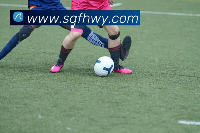 星空官网发展历程